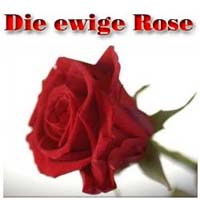 Eine echte Rose die nie verbl�ht